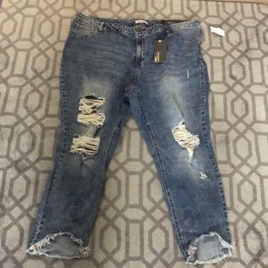 Refuge Plus Size 22 Distressed Jeans